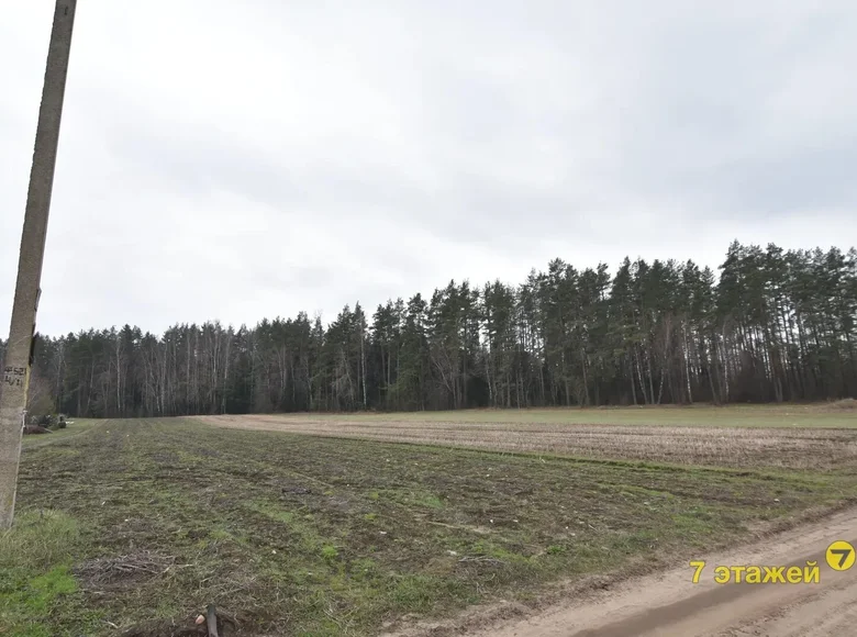 Land  Piekalin, Belarus