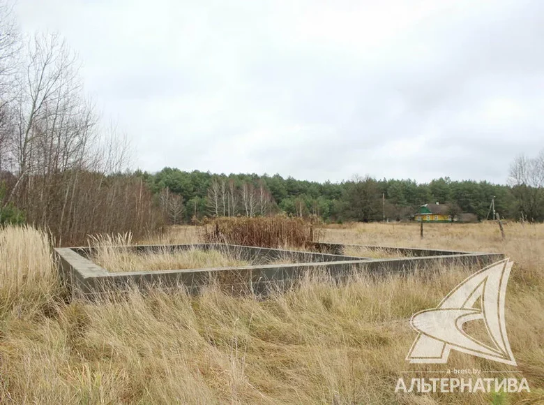 Land 64 m² Vielikarycki sielski Saviet, Belarus