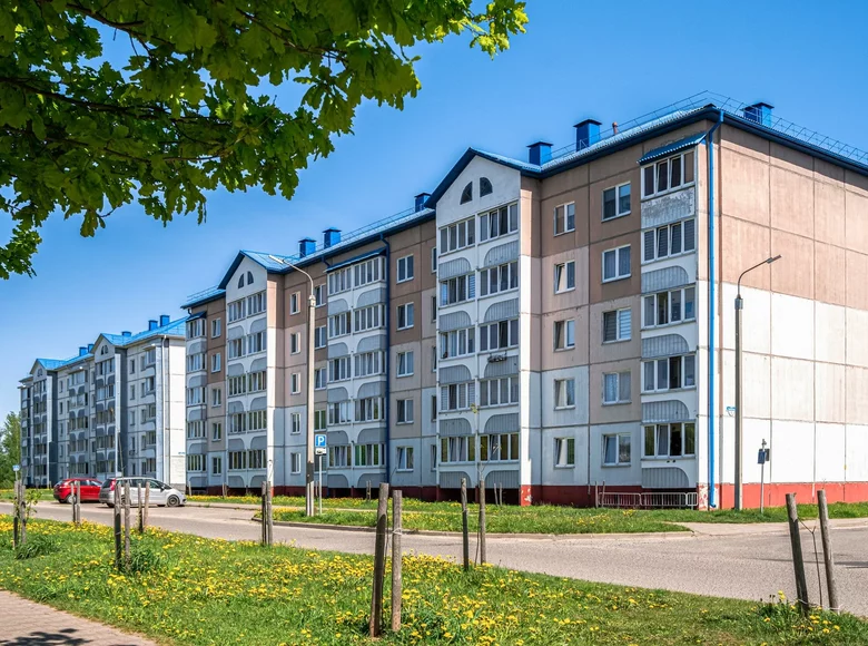 Appartement 1 chambre 44 m² Ouzda, Biélorussie