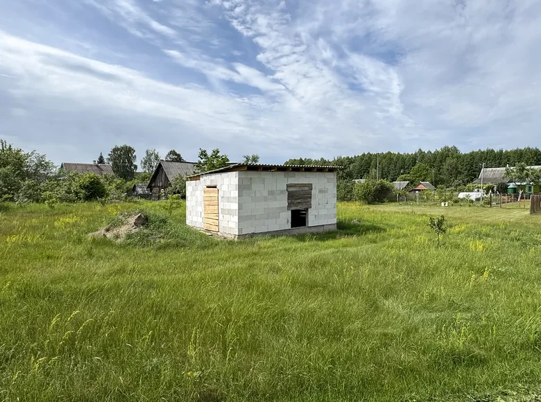 Land  Mikalajeuscynski sielski Saviet, Belarus