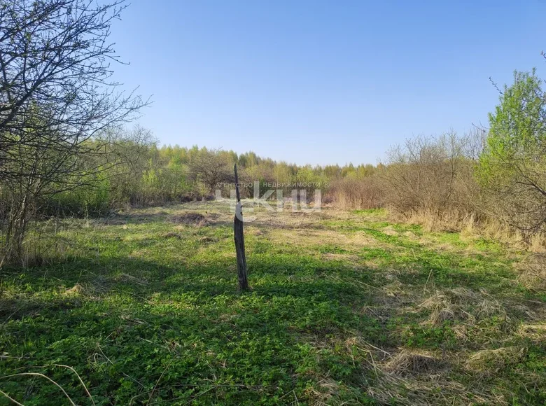 Działki 2 500 m² Vorotynsky District, Rosja