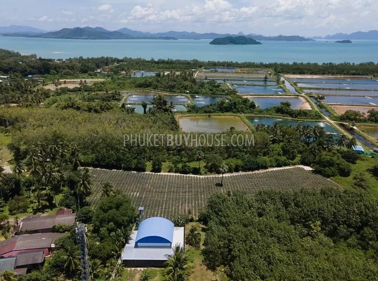 Parcelas  Pa Khlok, Tailandia