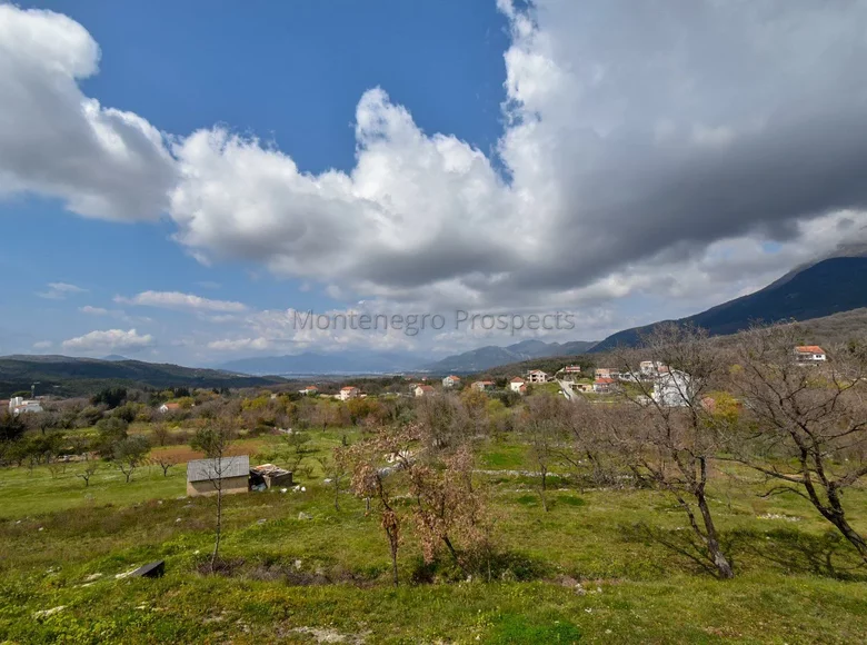 Land 1 733 m² Montenegro, Montenegro