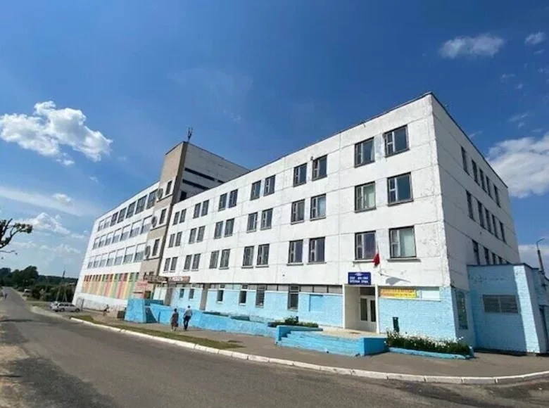 Nieruchomości komercyjne 9 114 m² Orsza, Białoruś