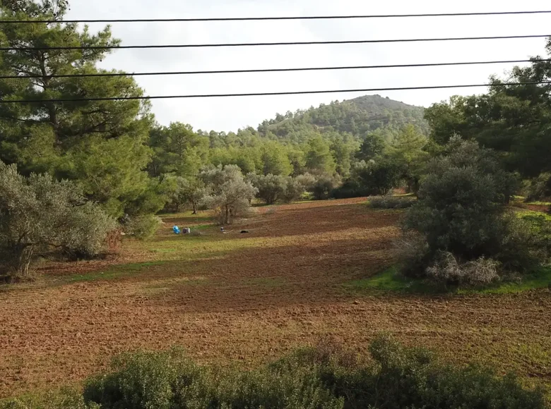 Land  Pyrga, Cyprus