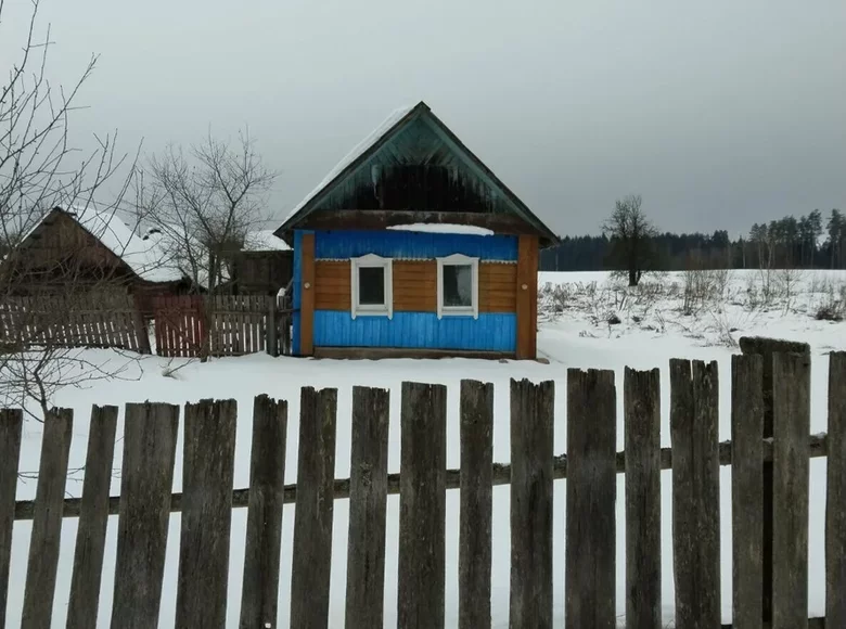 Дом 41 м² Пригородный сельский Совет, Беларусь