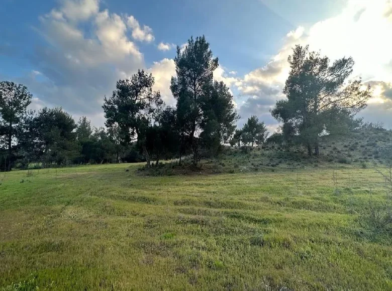 Atterrir  Lythrodontas, Chypre
