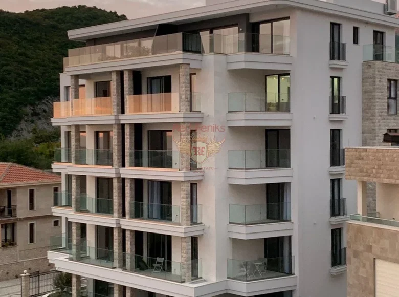 1 bedroom apartment 43 m² Montenegro, Montenegro