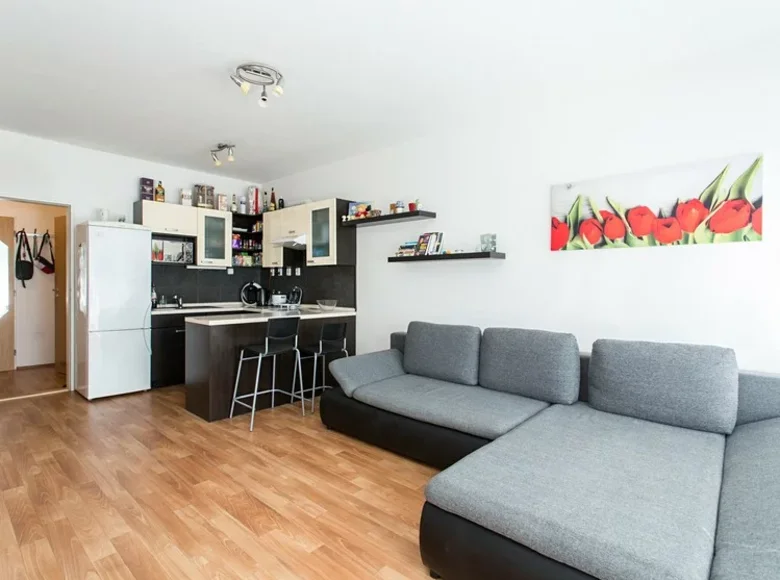 Mieszkanie 2 pokoi 59 m² Praga, Czechy