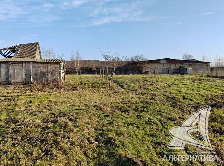 Земельные участки  Старое Село, Беларусь