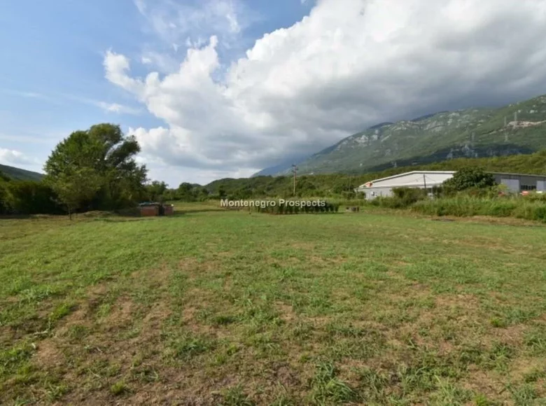 Grundstück 7 333 m² Montenegro, Montenegro