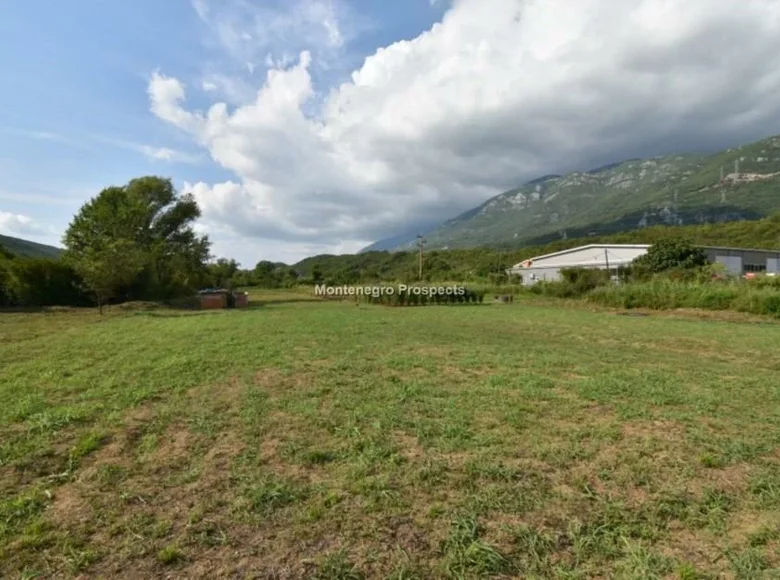 Land 7 333 m² Montenegro, Montenegro