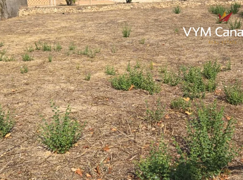 Wohnung 1 000 m² lAlfas del Pi, Spanien