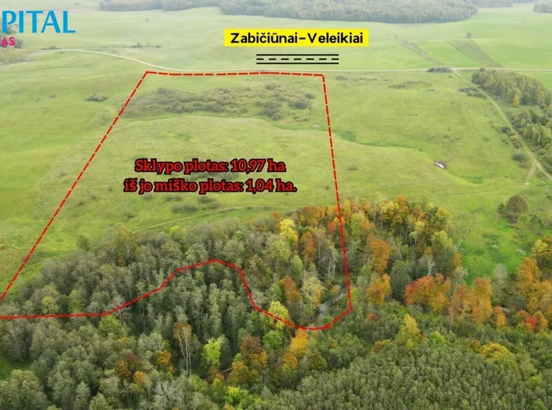 Grundstück  Veleikiai, Litauen