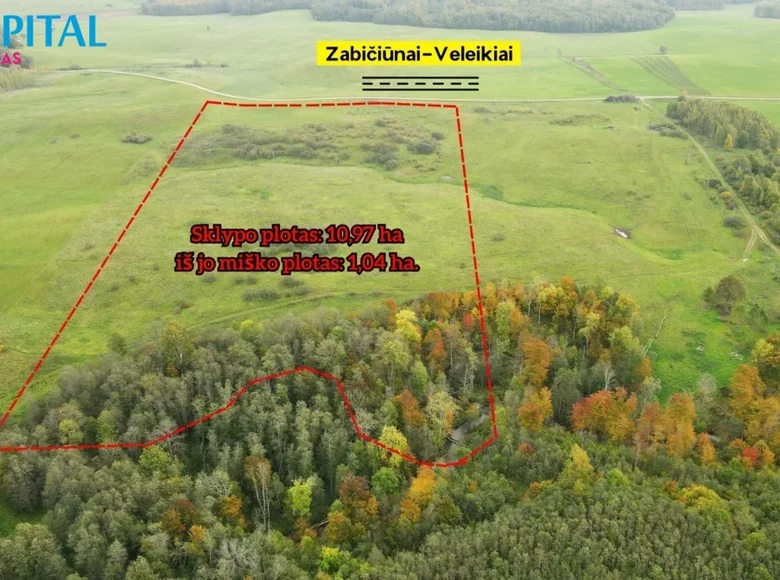 Land  Veleikiai, Lithuania