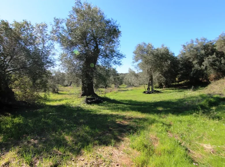 Grundstück 1 zimmer 44 000 m² Agios Georgios, Griechenland