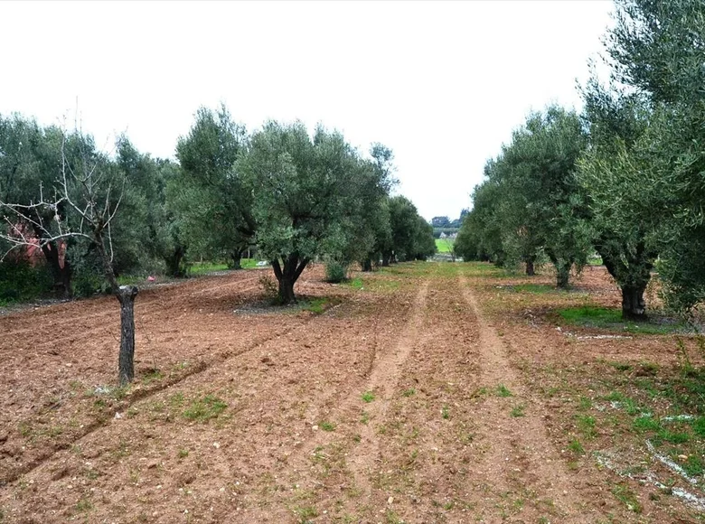 Land 1 room  Agios Mamas, Greece