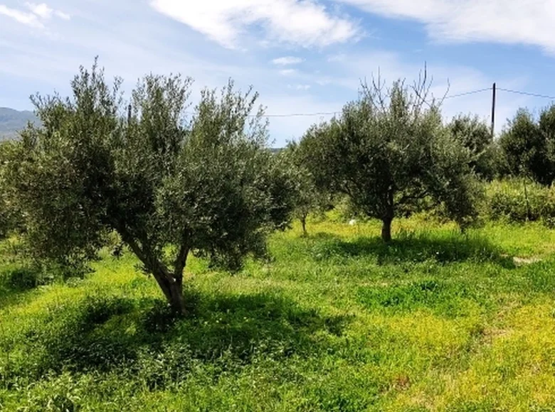 Grundstück  Provinz Rethymnon, Griechenland