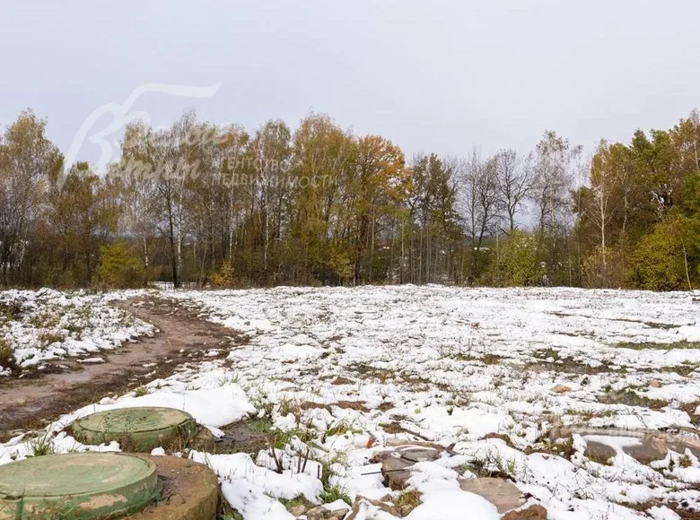 Land  poselenie Schapovskoe, Russia