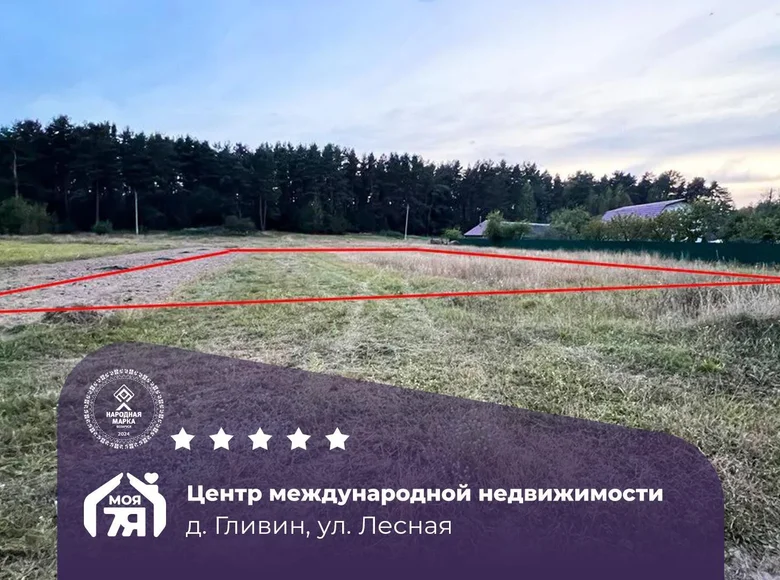 Земельные участки  Гливин, Беларусь
