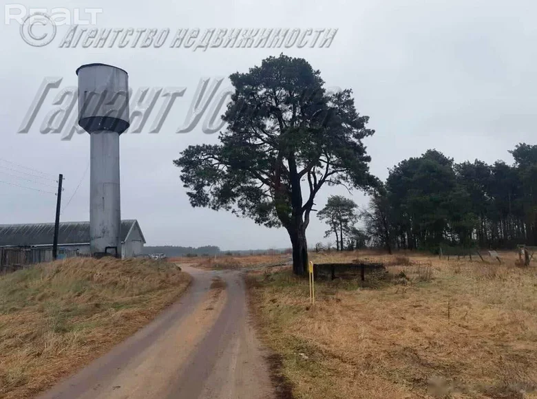 Nieruchomości komercyjne 10 m² Telminski sielski Saviet, Białoruś