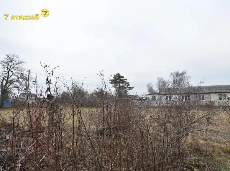 Land  Sedcha, Belarus
