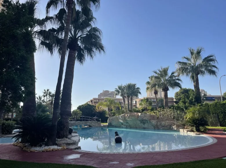 4 bedroom apartment 180 m² el Campello, Spain