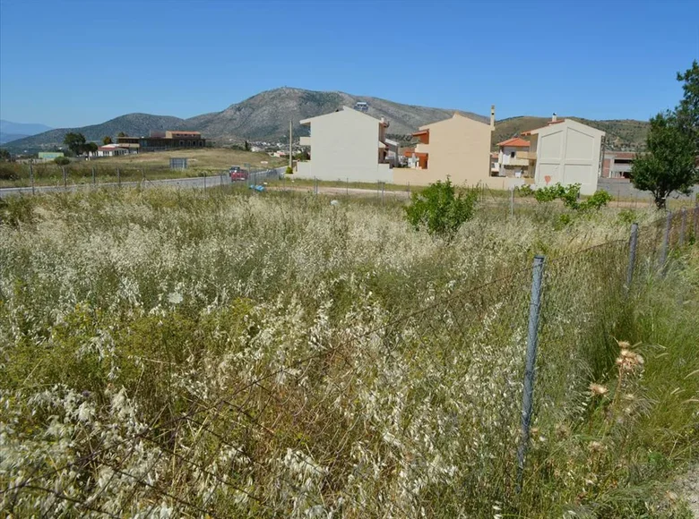 Parcelas 1 habitación  Municipality of Thiva, Grecia