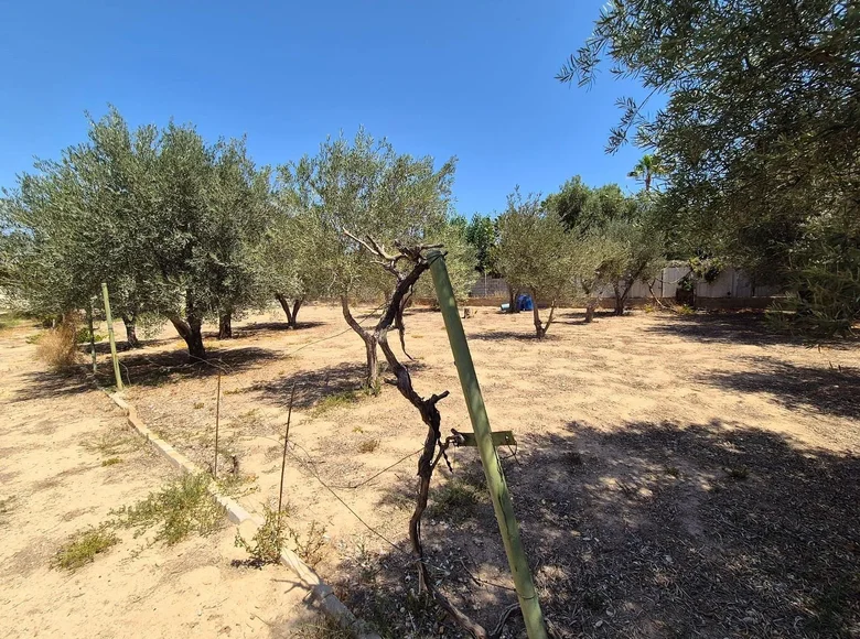 Nieruchomości komercyjne  Alicante, Hiszpania