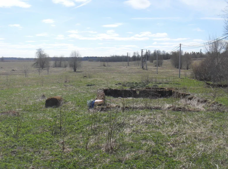 Parcelas  Bolshevrudskoe selskoe poselenie, Rusia