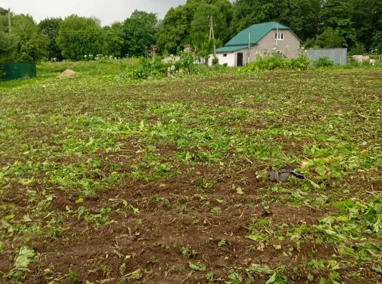 Land  Bolshevrudskoe selskoe poselenie, Russia