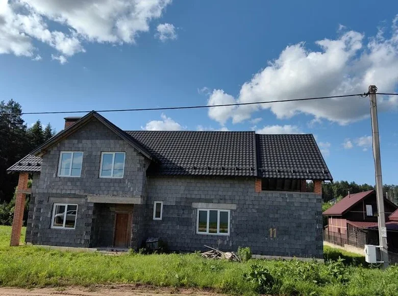 Ferienhaus 150 m² Staryna, Belarus