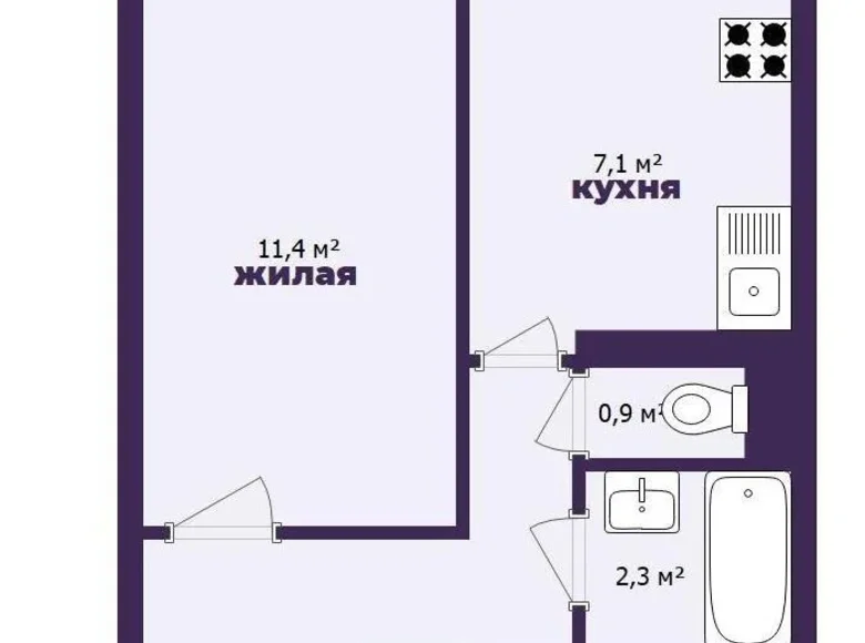 1 room apartment 30 m² Minsk, Belarus