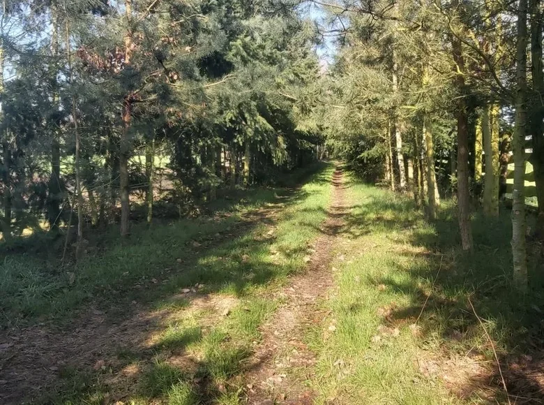 Land 33 900 m² Boruja Koscielna, Poland