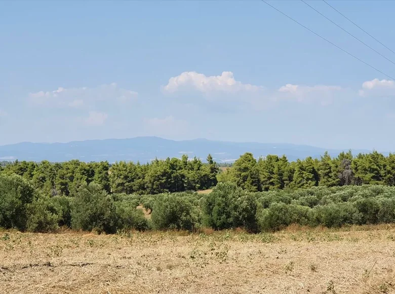 Land 1 room  Kassandria, Greece