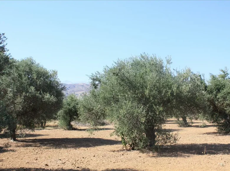 Atterrir 1 chambre  La Canée, Grèce