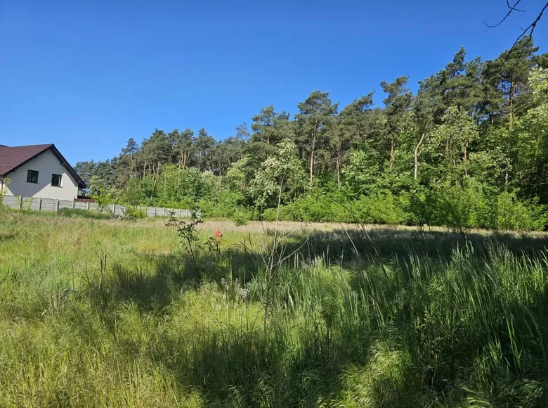 Land 1 252 m² Psarskie, Poland