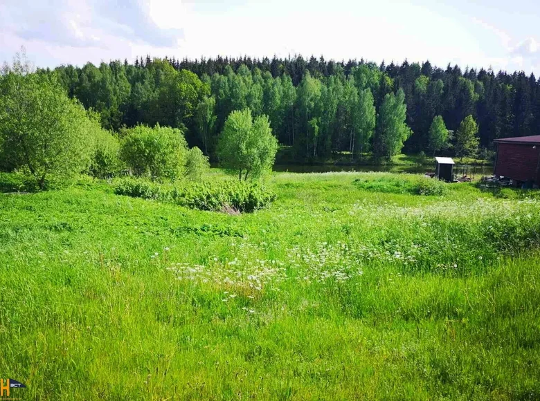 Дом  Путчинский сельский Совет, Беларусь