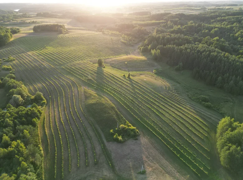 Land  Drageliskes, Lithuania