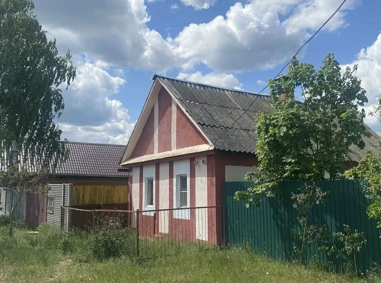 House 50 m² Babovicki sielski Saviet, Belarus
