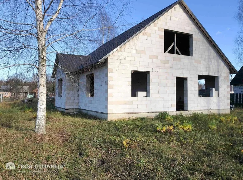 Haus 120 m² Turynski sielski Saviet, Belarus