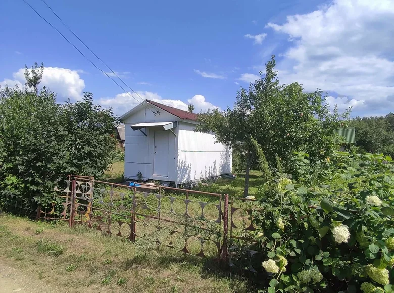 Casa 15 m² Zhodzina, Bielorrusia