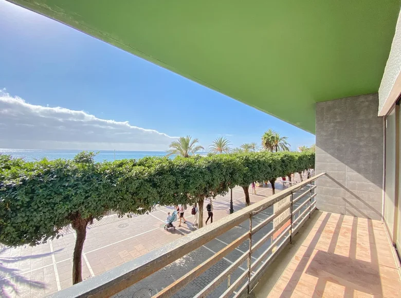 Apartment 9 bedrooms  Marbella, Spain