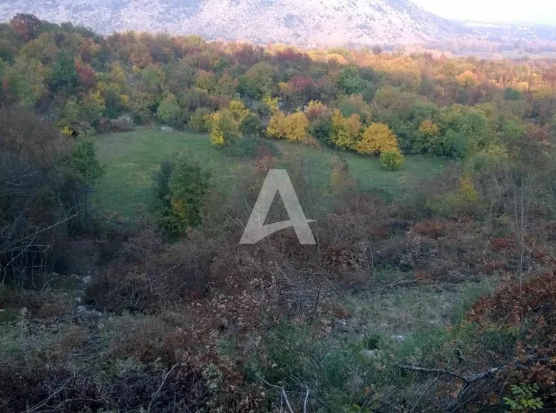 Land  Danilovgrad Municipality, Montenegro