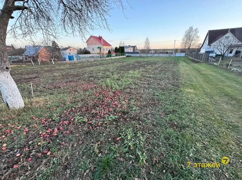 Land  Fanipalski sielski Saviet, Belarus