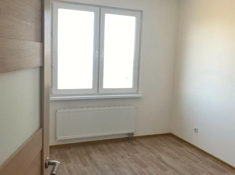 Apartamento 1 habitación 26 m² okrug Polyustrovo, Rusia
