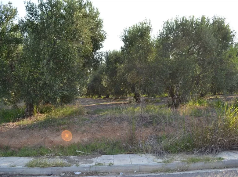 Działki 1 pokój  Gaje oliwne Moudania, Grecja