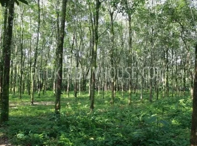 Land  Phangnga Province, Thailand