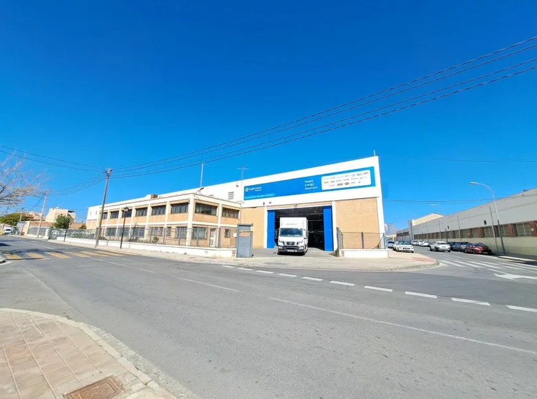 Warehouse 4 978 m² in Alicante, Spain