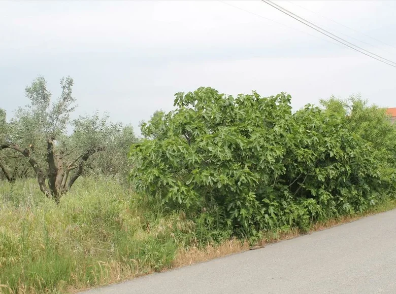 Atterrir 1 chambre  Epanomi, Grèce